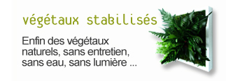 offre végétaux stabilisé